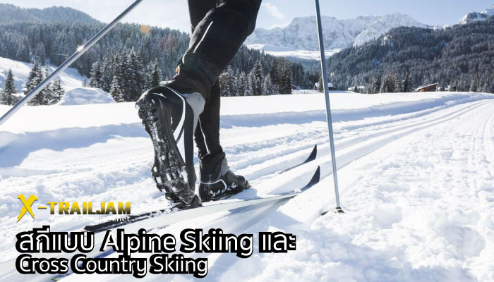 Alpine Skiing และ Cross Country Skiing